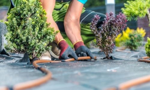 Zakładanie i aranżcja ogrodów