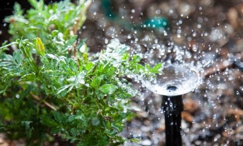 Automatyczne nawadnianie